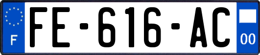 FE-616-AC