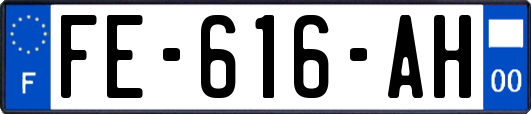 FE-616-AH