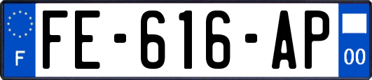 FE-616-AP