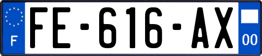 FE-616-AX