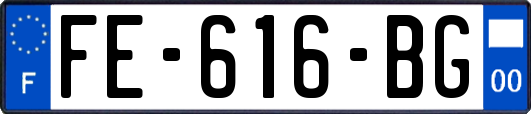 FE-616-BG