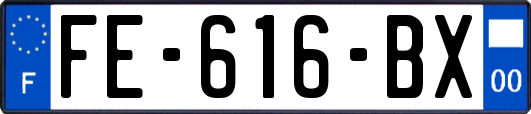 FE-616-BX