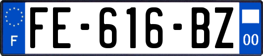 FE-616-BZ