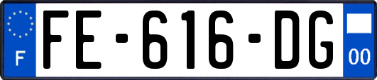 FE-616-DG