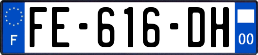 FE-616-DH