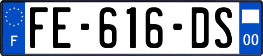 FE-616-DS