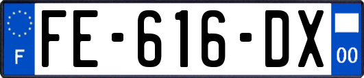 FE-616-DX