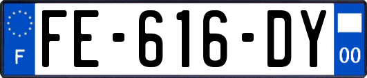 FE-616-DY