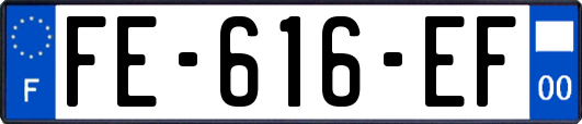 FE-616-EF