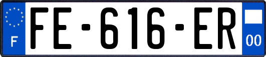 FE-616-ER