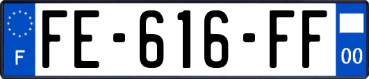FE-616-FF