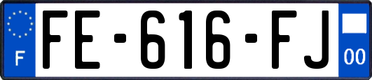 FE-616-FJ