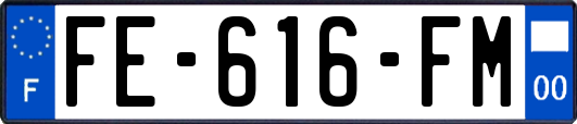 FE-616-FM