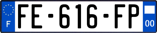 FE-616-FP