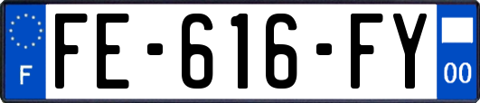 FE-616-FY