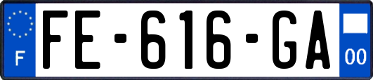 FE-616-GA