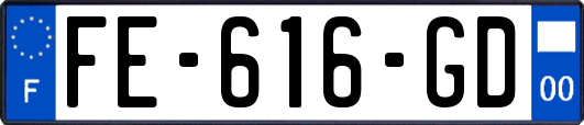 FE-616-GD