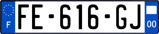 FE-616-GJ