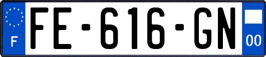 FE-616-GN