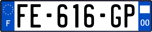 FE-616-GP
