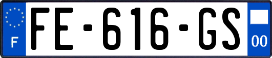 FE-616-GS