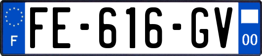 FE-616-GV
