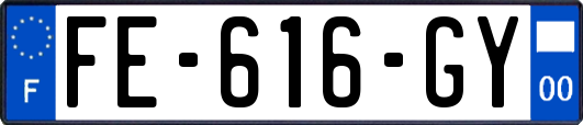 FE-616-GY