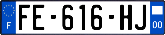 FE-616-HJ