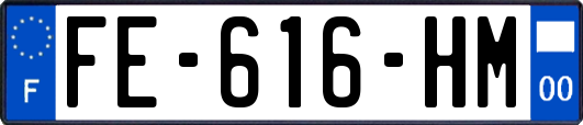 FE-616-HM