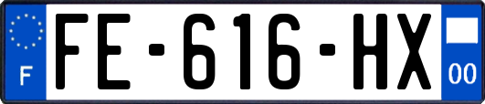 FE-616-HX