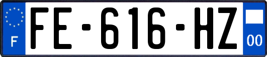 FE-616-HZ