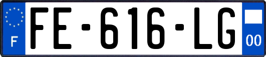 FE-616-LG