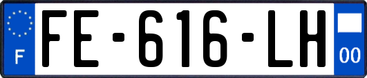 FE-616-LH