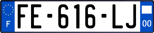 FE-616-LJ