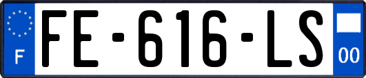 FE-616-LS