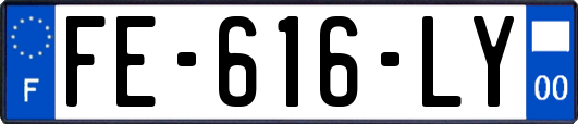 FE-616-LY