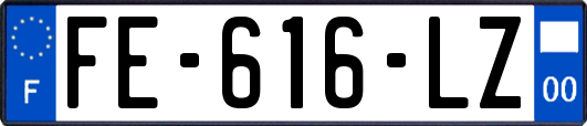 FE-616-LZ