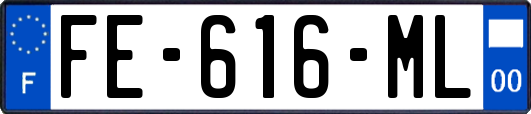 FE-616-ML