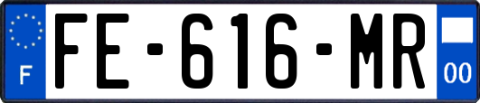 FE-616-MR