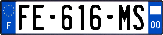 FE-616-MS