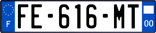 FE-616-MT