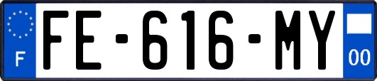 FE-616-MY