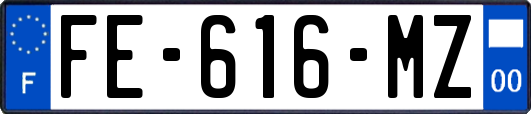 FE-616-MZ