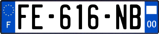 FE-616-NB