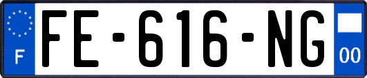 FE-616-NG
