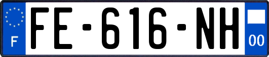 FE-616-NH