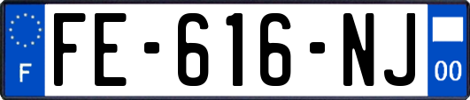 FE-616-NJ