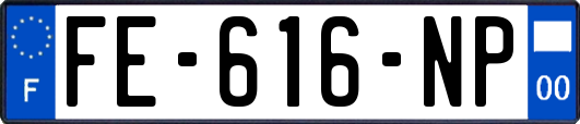 FE-616-NP