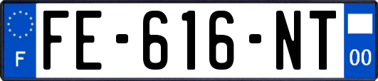 FE-616-NT