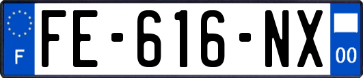 FE-616-NX